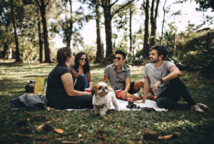 Dog Friendly Parks Near Me - Charlottesville