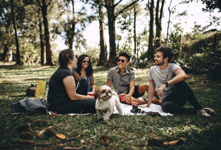 Dog Friendly Parks Near Me - Charlottesville