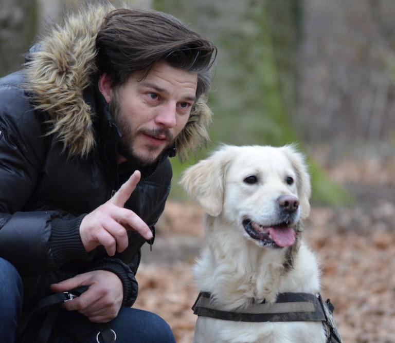 8 Benefits of Positive Reinforcement Training for Dogs