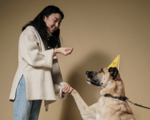 Understanding Positive Reinforcement