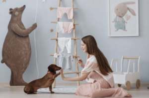 How To Build A Daily Routine With Your Dogs