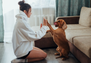 5 Training Tips for Consistency