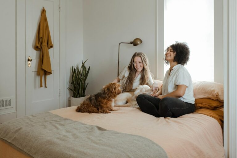 Enhancing Life: A Guide to Creating an Accessible Haven for Dogs with Disabilities
