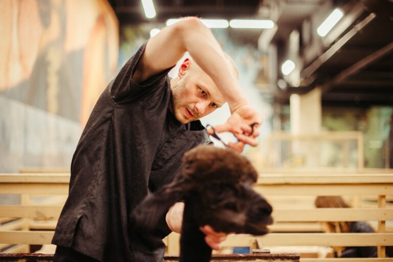 Enhancing Your Bond with Innovative Dog Activities